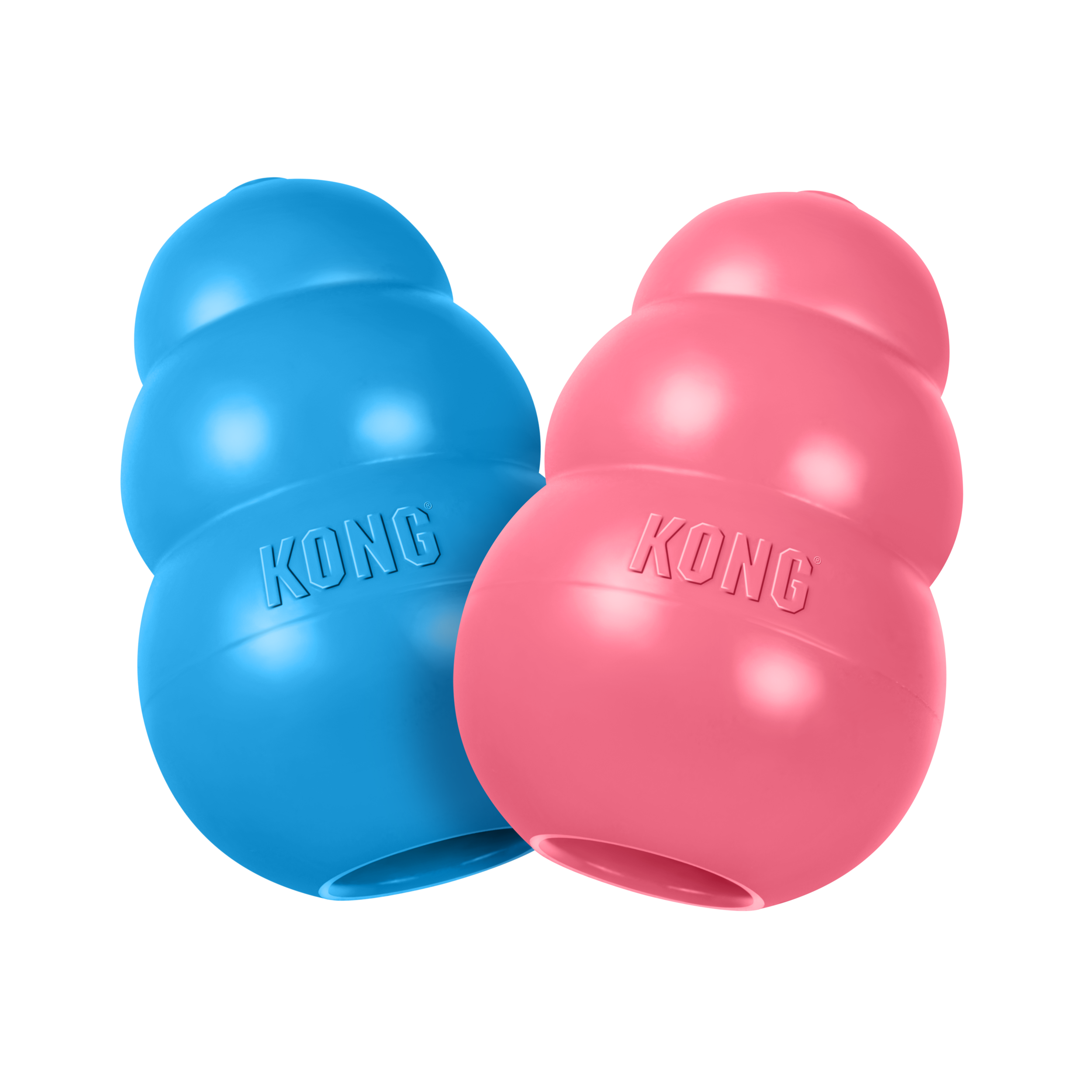 KONG Puppy Medium