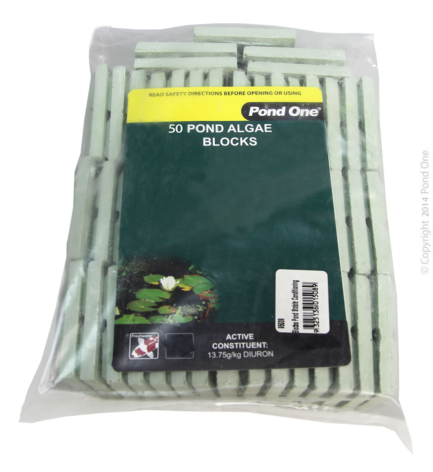 Pond One Pond Algae Blocks 20g Bulk 50/bag
