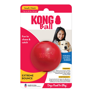 KONG Ball with Hole Small