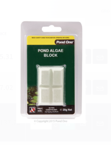 Pond One Pond Algae Block 20g