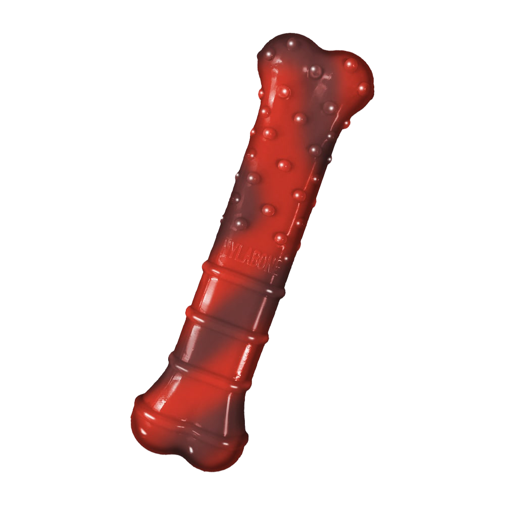 Nylabone Dura Chew Textured Beef Jerky Reg
