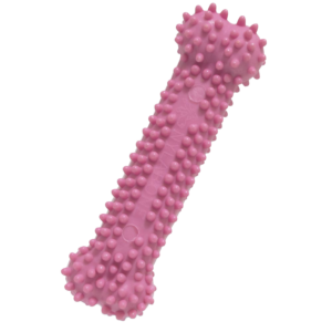 Nylabone Puppy Dental Chew - Pink