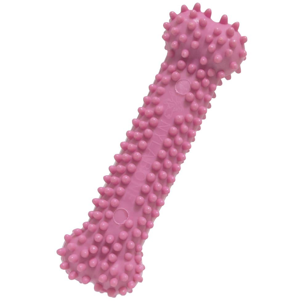 Nylabone Puppy Dental Chew - Pink