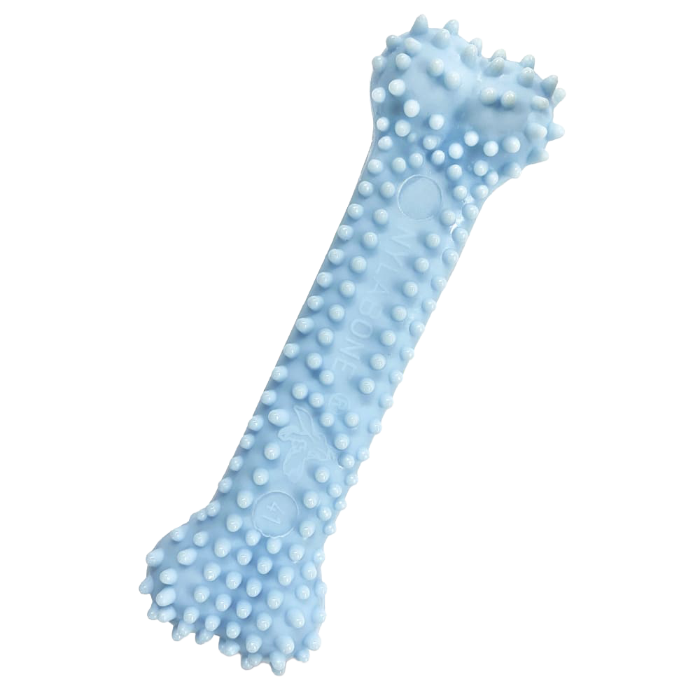 Nylabone Puppy Dental Chew - Blue