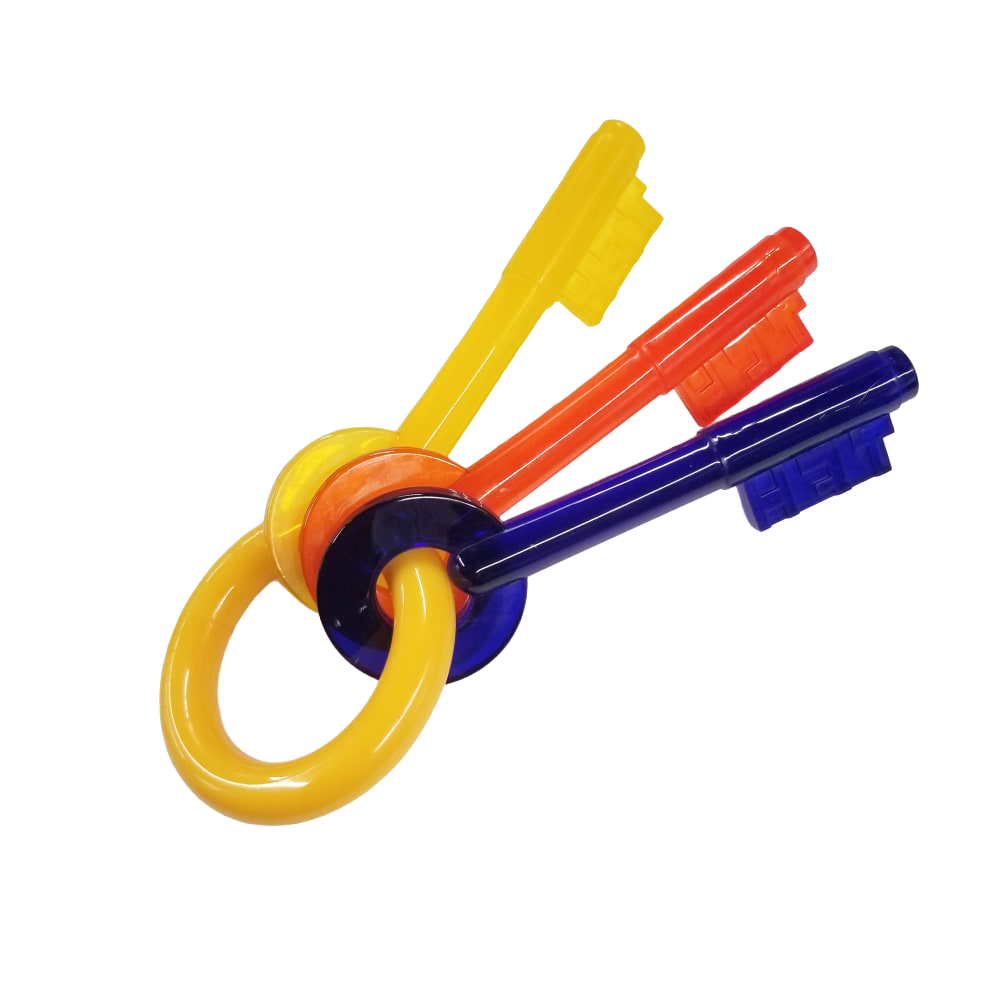 Nylabone Puppy Teething Keys - Lge