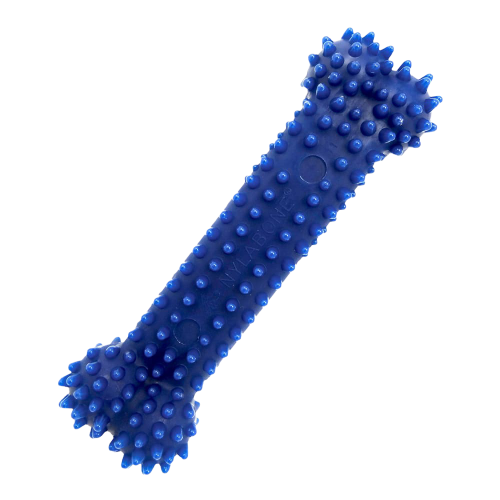 Nylabone Dental Chew Bone - Wolf