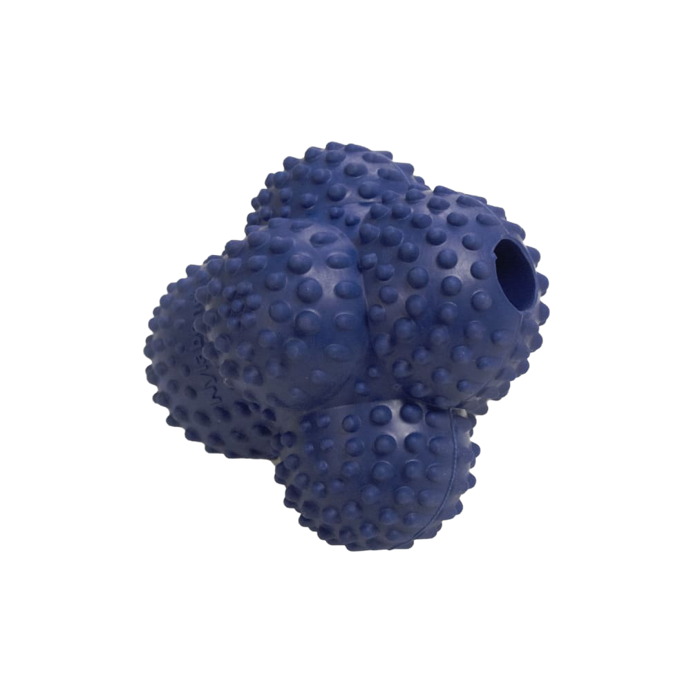 Nylabone Dental Crazy Ball