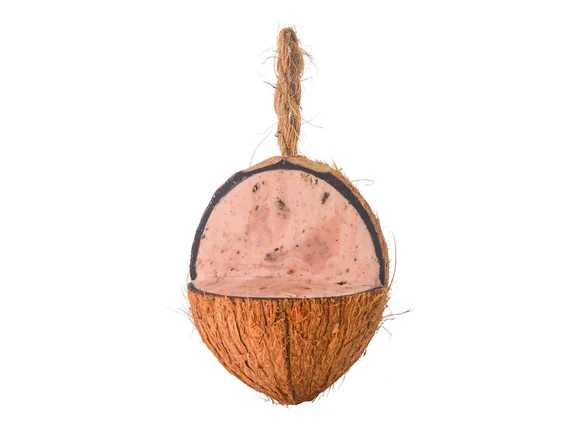 Topflite Bug & Berry Coconut - Limited Edition