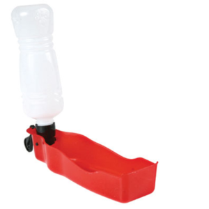 Dog On Tour Drink Bottle 500mL