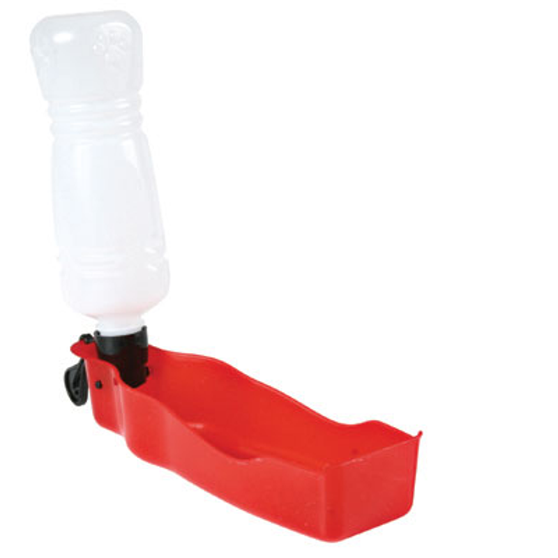 Dog On Tour Drink Bottle 500mL ^2461