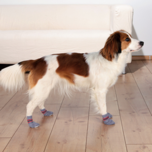 Trixie Dog Socks non-slip M/L - 2pcs