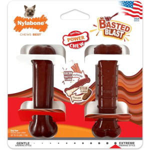 Nylabone Power Chew Basted Bone Twin Pack - Petite