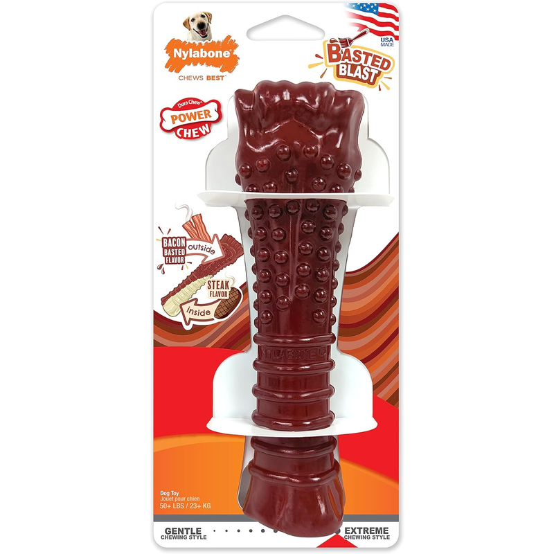 Nylabone Power Chew Basted Bone - Souper