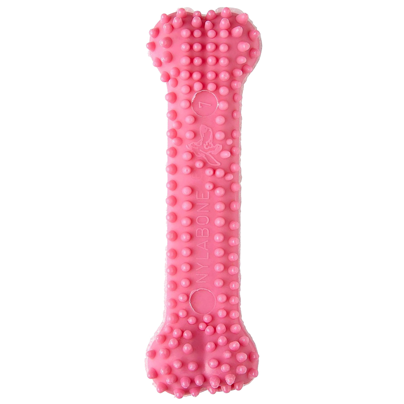 Nylabone Puppy Dental Chew - Pink