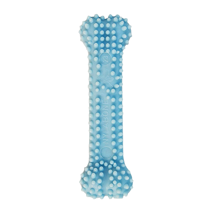 Nylabone Puppy Dental Chew - Blue