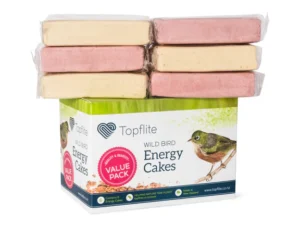 Topflite Mixed 6 pack of Energy Cakes