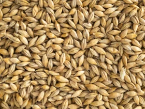 Topflite NZ Barley