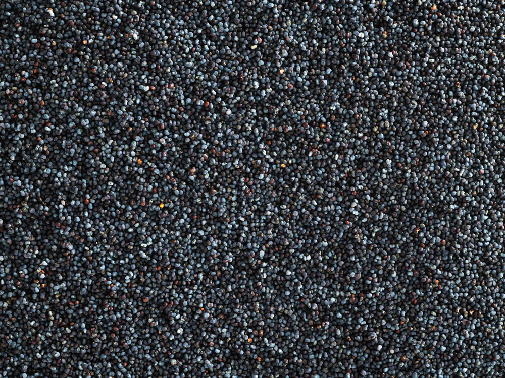 Topflite Blue Maw Seed 10kg