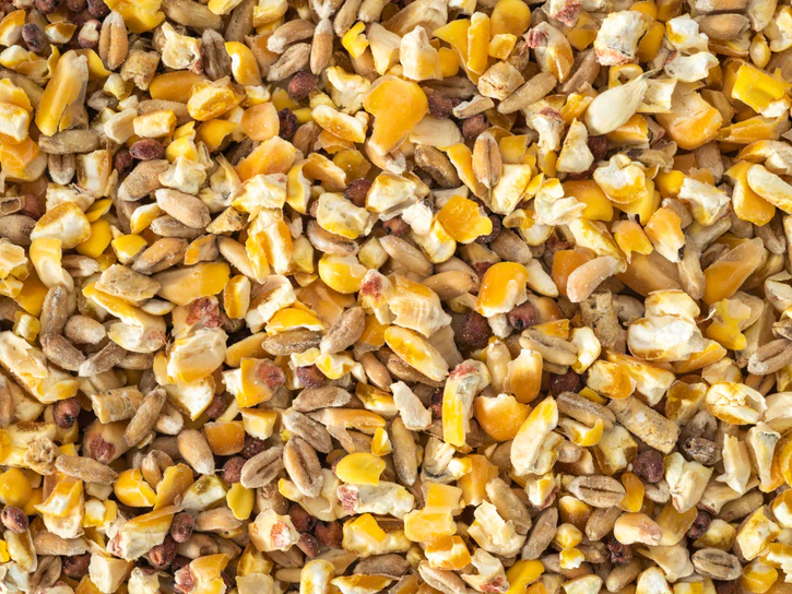 Topflite Dove Seed Mix 20kg
