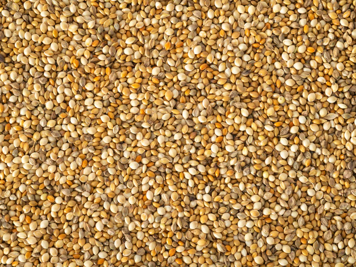 Topfllite Millet Mix 20kg