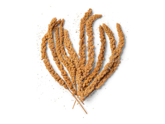 Topflite Millet Sprays 14.5kg