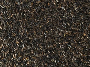 Topflite Niger 10kg