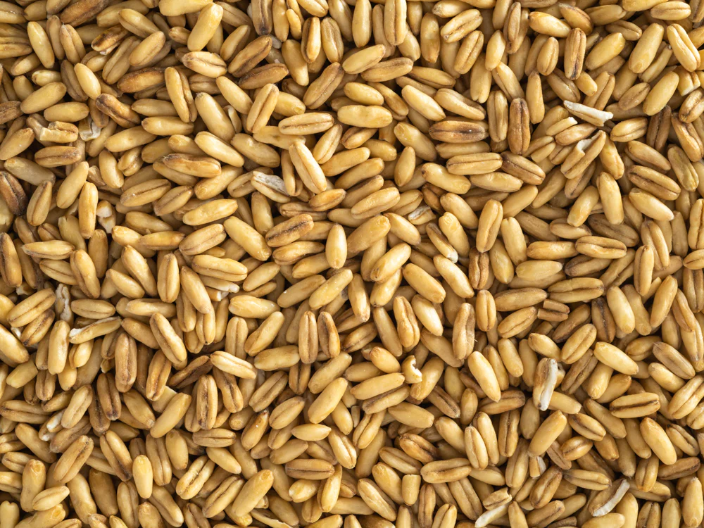 Topflite Hulled Oats 20kg