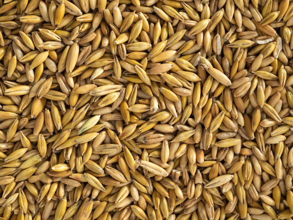 Topflite Whole Oats 20kg