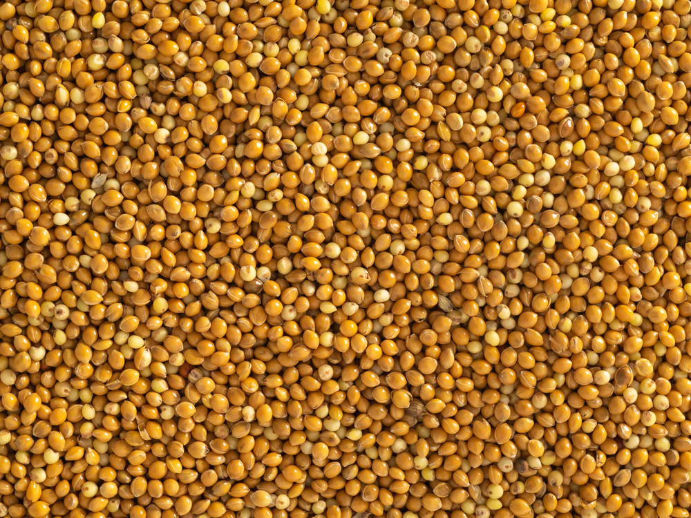 Topflite Panicum (Hungarian Millet) 20kg