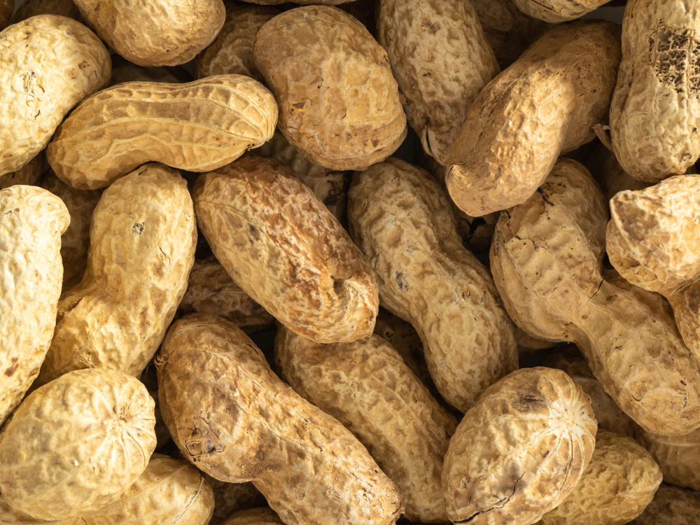 Topflite Peanuts in Shell 10kg