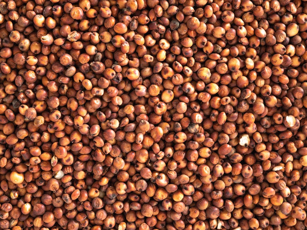 Topflite Red Sorghum 20kg