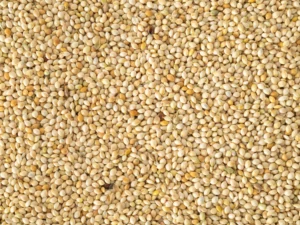 Topflite White French Millet 20kg