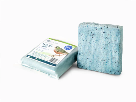 Topflite Energy Cake blueberry