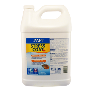 API Stress Coat 3.8L