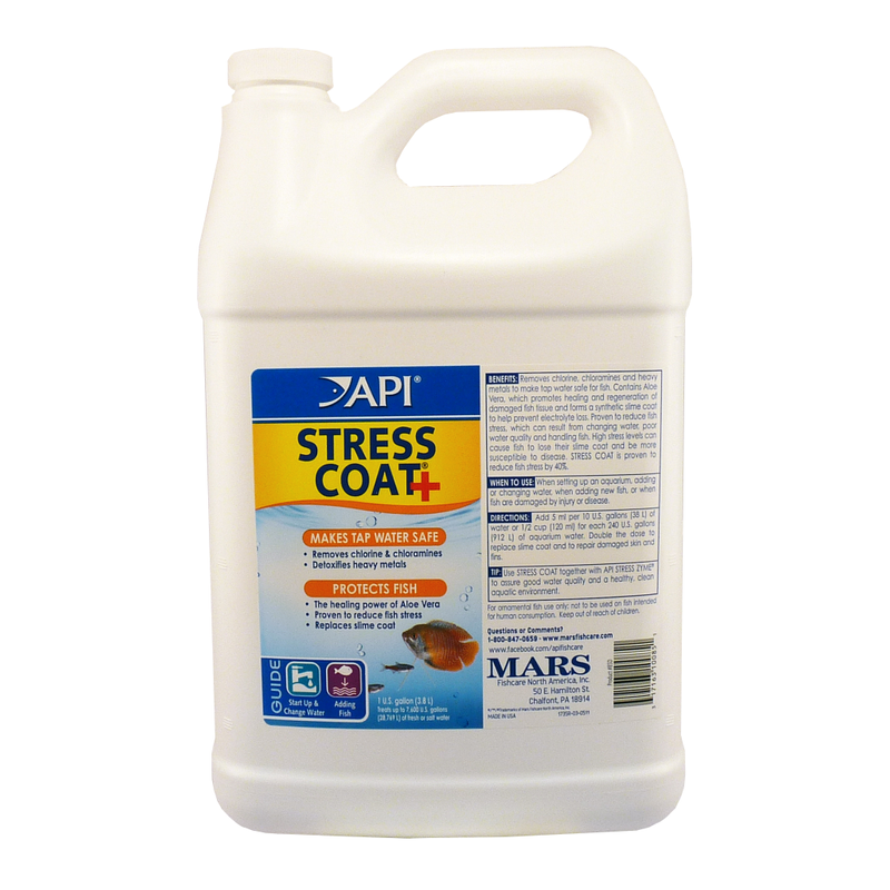 API Stress Coat 3.8L