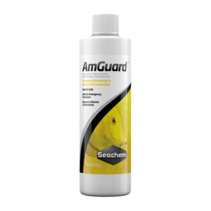 Seachem Amguard 250mL ^776