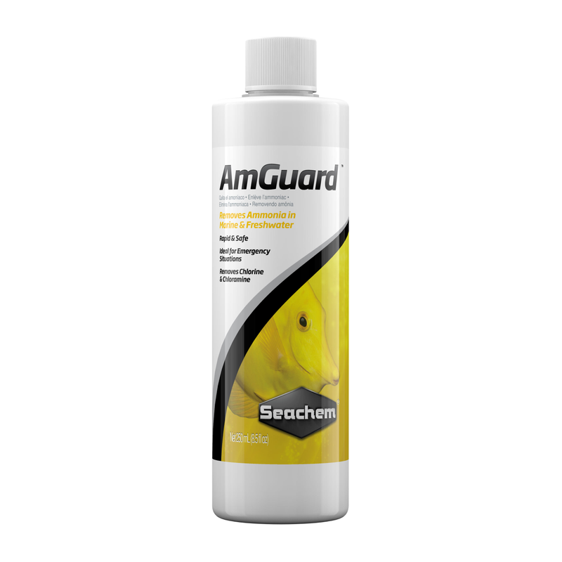 Seachem Amguard 250mL ^776