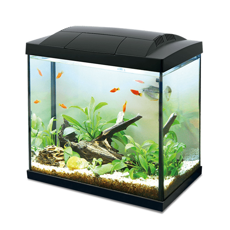 Hailea LED Aquarium 30L - Black ^K30