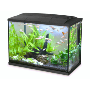 Hailea LED Aquarium 60L - Black ^K60