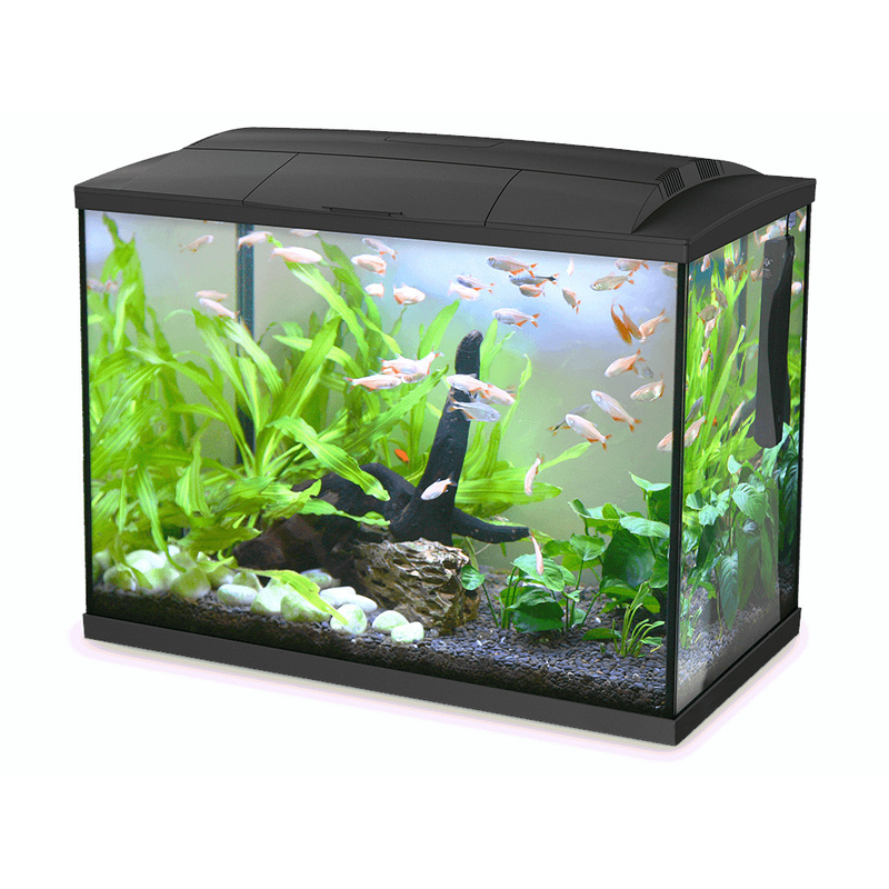 Hailea LED Aquarium 60L - Black ^K60