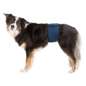 Trixie Belly Band for Male Dogs Sml - 37-45cm ^23662
