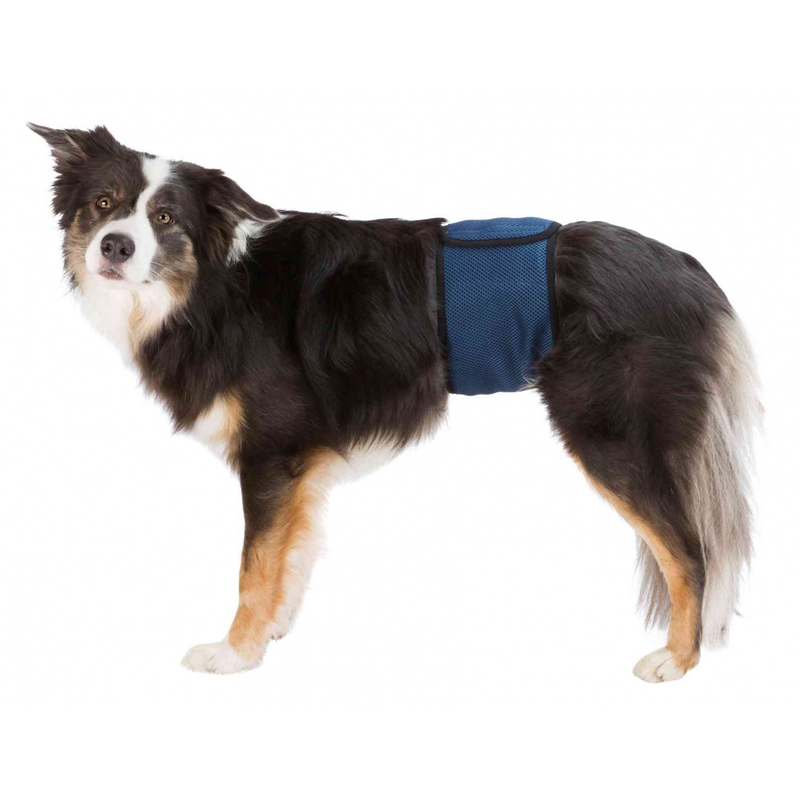 Trixie Belly Band for Male Dogs Lge - 55-65cm ^23664