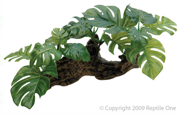 Aqua One Ornament - Plastic Plant SP On Driftwood Medium 37x24x18cm