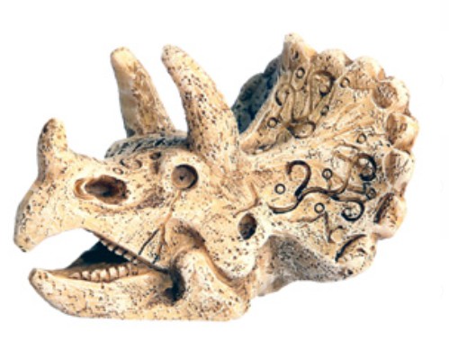 Aqua One Ornament - Dinosaur Head W Horn 6.5x8x5.5cmh
