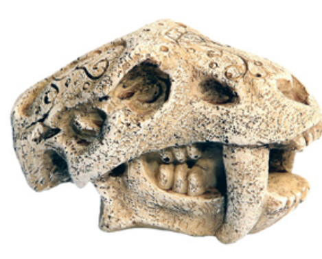 Aqua One Ornament - Mini Dinosaur Head W Fangs 5x7x4.5cmH