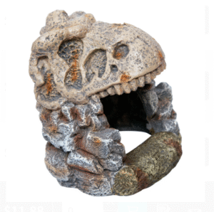Aqua One Ornament - Dinosaur Cave Skull Medium 13.5x10.5x13.5cm
