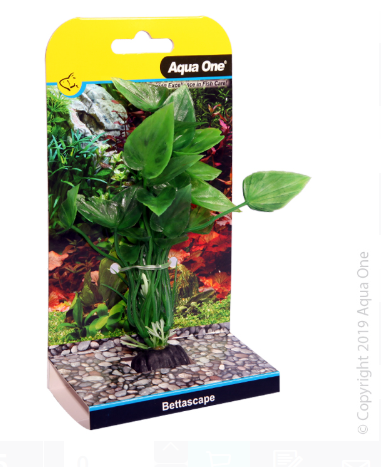 Bettascape Betta Lily Green