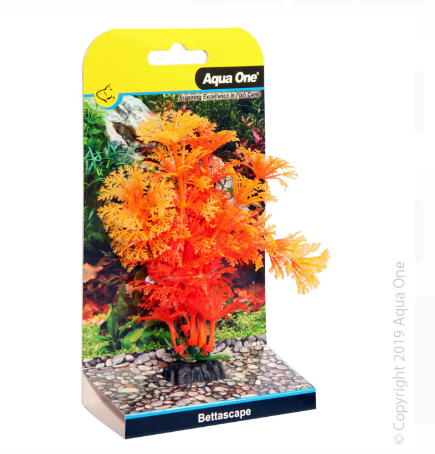 Bettascape Betta Ambulia Orange