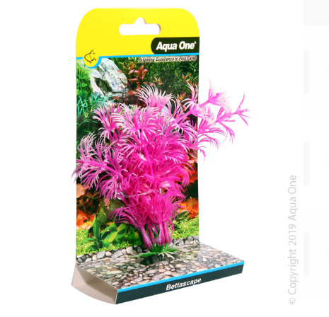 Bettascape Betta Ambulia Pink