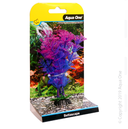 Bettascape Betta Ambulia Purple